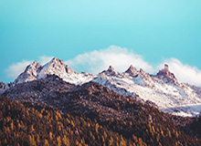 kaiyun-成都蓉城新援球衣号码揭晓：贺一然4号，拜合拉木27号|韦林顿-席尔瓦|王子铭|茹萨|成都蓉城俱乐部|成都蓉城足球俱乐部_新浪体育_新浪新闻